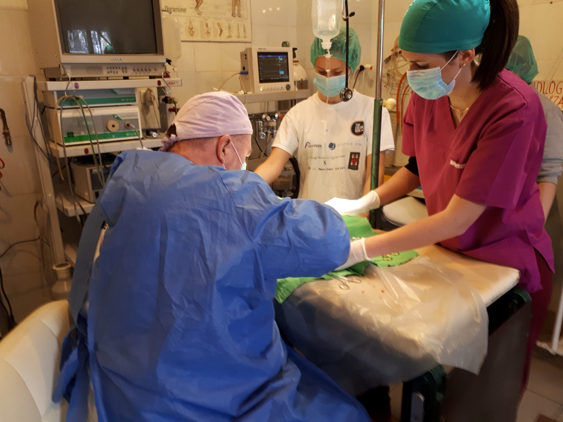 Dr. Szolnoki János állatorvos Szentendre Ortopéd szakállatorvos műtét közben