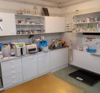 állatorvos rendelő állatkorházak Szentendre állatorvos rendelő állatkorházak Szentendre