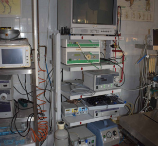 állatorvos berendezések állatkorházak Szentendre állatorvos berendezések állatkorházak Szentendre