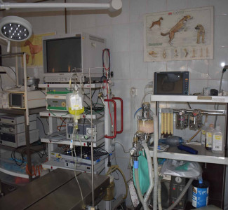 állatorvos berendezések állatkorházak Szentendre állatorvos berendezések állatkorházak Szentendre