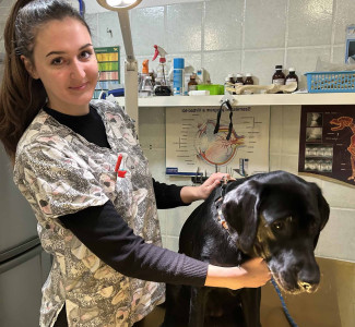 Kökény Dóra állatorvosi asszisztens Szentendre Kökény Dóra állatorvosi asszisztens Szentendre